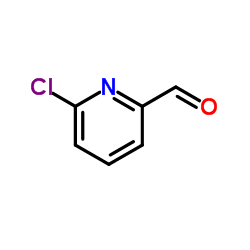 6-氯-2-吡啶甲醛图片