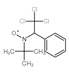 Nitroxide, 1,1-dimethylethyl 2,2,2-trichloro-1-phenylethyl Structure