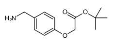 2-(4-(氨基甲基)苯氧基)乙酸叔丁酯结构式