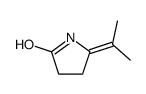2-Pyrrolidinone,5-(1-methylethylidene)-(9CI)结构式