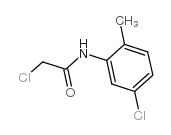 2-chloro-N-(5-chloro-2-methyl-phenyl)acetamide Structure