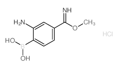 (2-Amino-4-(imino(methoxy)methyl)phenyl)boronic acid hydrochloride Structure