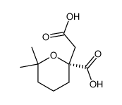 (R)-2-(carboxymethyl)-6,6-dimethyltetrahydro-2H-pyran-2-carboxylic acid结构式