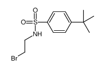N1-(2-BROMOETHYL)-4-(TERT-BUTYL)BENZENE-1-SULFONAMIDE, TECH结构式
