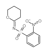 Benzenesulfonamide,2-nitro-N-(tetrahydro-2H-pyran-2-ylidene)- Structure