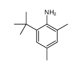2-tert-butyl-4,6-dimethylaniline结构式