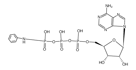 ATP gamma-anilide Structure