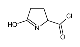 2-Pyrrolidinecarbonyl chloride, 5-oxo- (9CI)结构式