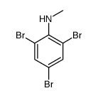 2,4,6-tribromo-N-methylaniline结构式
