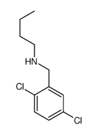 N-[(2,5-dichlorophenyl)methyl]butan-1-amine结构式