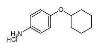 4-(环己氧基)苯胺盐酸盐结构式