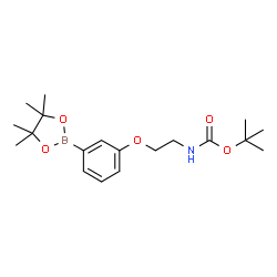3-[2-(BOC-氨基)乙氧基]苯硼酸频哪醇酯结构式