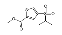 4-(异丙基磺酰基)噻吩-2-羧酸甲酯结构式