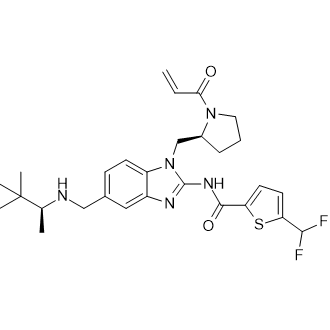 5-(二氟甲基)-N-[5-({[(2S)-3,3-二甲基丁-2-基]氨基}甲基)-1-{[(2S)-1-(丙-2-烯酰基)吡咯烷-2-基]甲基}-1H-1,3-苯并二唑-2-基]噻吩-2-甲酰胺结构式