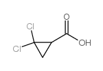 2,2-二氯环丙烷羧酸结构式