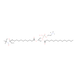 1-myristoyl-2-(11-(4,4-dimethyl-3-oxy-2-ethyl-2-oxazolidinyl)undecanoyl)-sn-glycero-3-phosphocholine Structure