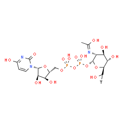 URIDINE 5'-DIPHOSPHO-N-ACETYLGLUCOSAMINE-[GLUCOSAMINE-6-3H(N)] structure