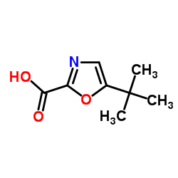 5-叔丁基-2-恶唑羧酸结构式