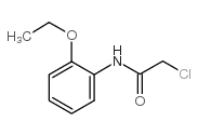 2-chloro-n-(2-ethoxyphenyl)acetamide structure