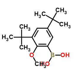 (3,5-di-tert-butyl-2-methoxyphenyl)boronic acid结构式