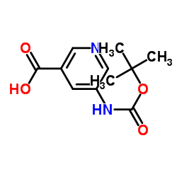 5-((tert-Butoxycarbonyl)amino)nicotinic acid Structure