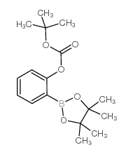 碳酸叔丁基-2-(4,4,5,5-四甲基-1,3,2-二氧杂硼烷-2-基)苯基结构式