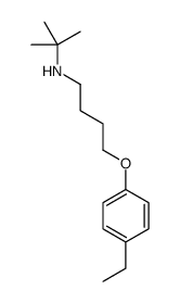 N-tert-butyl-4-(4-ethylphenoxy)butan-1-amine结构式