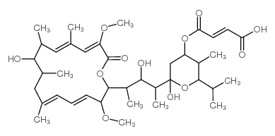 Bafilomycin C1 Structure