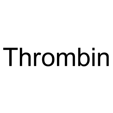 Thrombin Structure