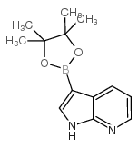 7-Azaindole-3-boronic Acid Pinacol Ester Structure