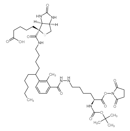 N2-t-Boc-N6-(生物素-6-N-己酰胺基)赖氨酸N-羟基琥珀酰亚胺酯结构式