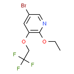5-Bromo-2-ethoxy-3-(2,2,2-trifluoroethoxy)pyridine Structure