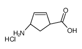 (1S,4R)-4-Aminocyclopent-2-enecarboxylic acid hydrochloride Structure