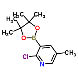 2-氯-5-甲基砒啶-3-硼酸频呢醇酯结构式