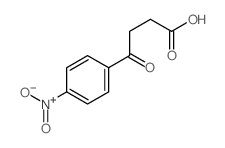 Benzenebutanoic acid,4-nitro-g-oxo-结构式
