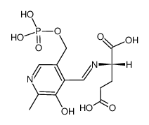 (S)-2-(((3-hydroxy-2-methyl-5-((phosphonooxy)methyl)pyridin-4-yl)methylene)amino)pentanedioic acid结构式