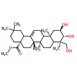 Bayogenin methyl ester structure