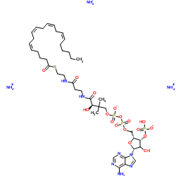 (5Z,8Z,11Z,14Z-二十碳四烯酰基)辅酶A(铵盐)结构式