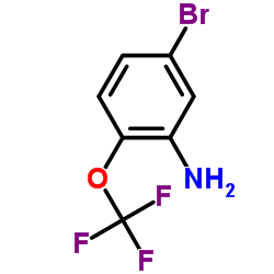 2-三氟甲氧基-5-溴苯胺图片
