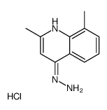 2,8-Dimethyl-4-hydrazinoquinoline hydrochloride结构式