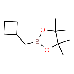 2-(cyclobutylmethyl)-4,4,5,5-tetramethyl-1,3,2-dioxaborolane Structure