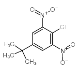4-tert-Butyl-2,6-dinitrochlorobenzene Structure