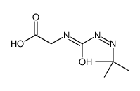 2-(tert-butyliminocarbamoylamino)acetic acid Structure