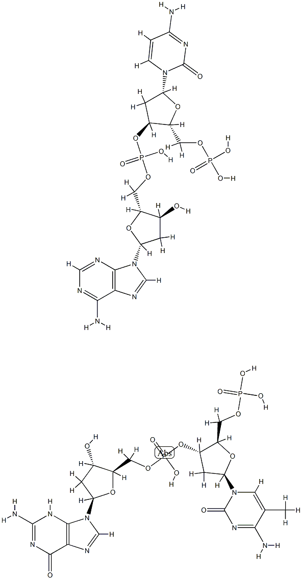 poly(dT-dG)n.poly(dC-dA)n Structure