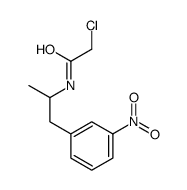 2-chloro-N-[1-(3-nitrophenyl)propan-2-yl]acetamide结构式