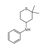 2,2-dimethyl-N-phenyltetrahydro-2H-thiopyran-4-amine结构式