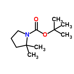1-Boc-2,2-二甲基吡咯烷结构式