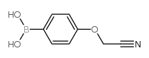 (4-(Cyanomethoxy)phenyl)boronic acid Structure