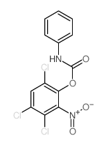 Phenol,3,4,6-trichloro-2-nitro-, 1-(N-phenylcarbamate)结构式