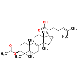 (3β)-3-Acetoxylanosta-8,24-dien-21-oic acid Structure